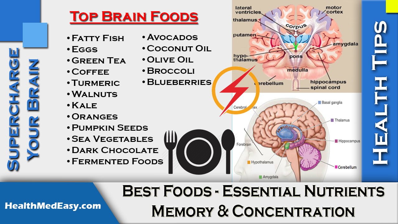 Supercharge Your Brain - Brain Booster, Tips, What To Follow ...